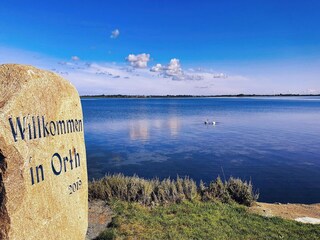 Apartment Orth Environment 17