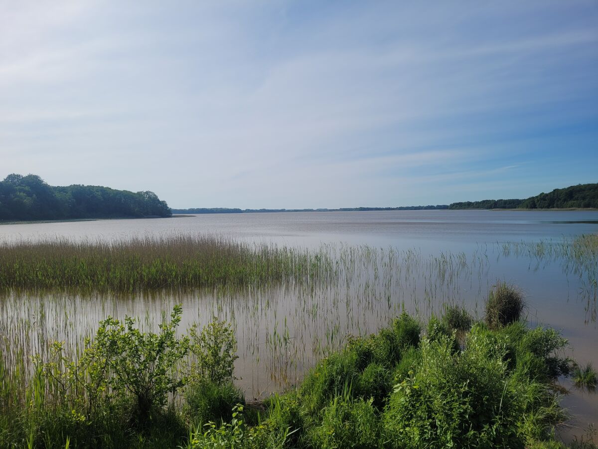 Ein Badesee in näherer Umgebung