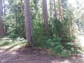 Vakantiehuis Säffle  29