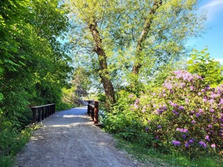 Vakantiehuis Säffle  22