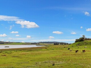 Vakantiehuis Vorupør  21