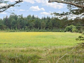 Maison de vacances Vorupør  9