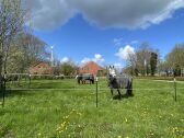 Vorderansicht Ferienhof Mischke