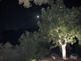 Finca Artà Buitenaudio-opname 1