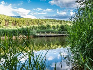 Appartamento per vacanze Natz Ambiente 13