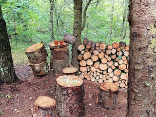 Maison de vacances Lyngså  4