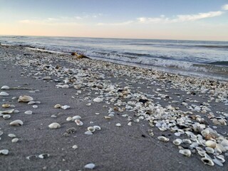 Vakantiehuis Lyngså  9