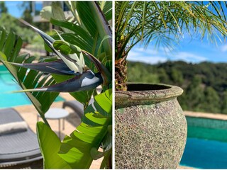 Casa per le vacanze S. Bràs de Alportel Registrazione all'aperto 6