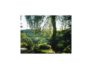Apartamento Deuselbach Grabación al aire libre 7