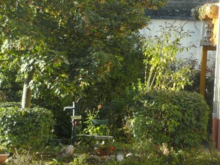 Apartamento Deuselbach Grabación al aire libre 15