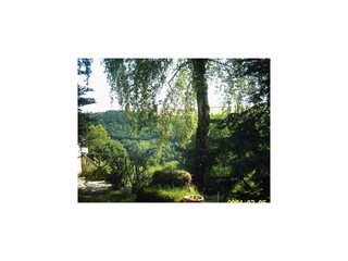 Apartment Deuselbach Outdoor Recording 20