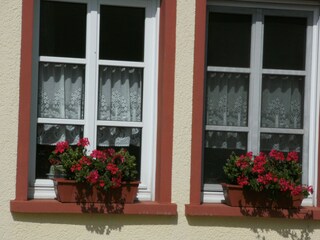 Apartment Deuselbach Outdoor Recording 5