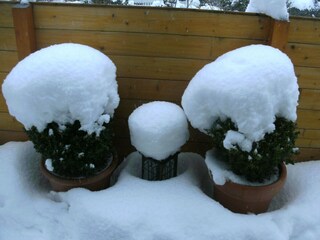 Apartamento Deuselbach Grabación al aire libre 15
