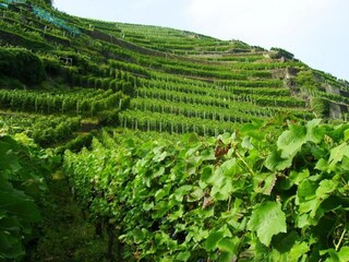 Apartment Deuselbach Environment 31