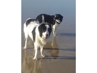 Casa per le vacanze Gaillan-en-Médoc Ambiente 20