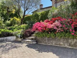 Casa per le vacanze Besozzo Registrazione all'aperto 3