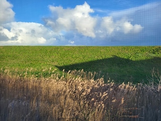 Deichlandschaft