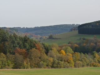 Ausblick im Herbst.