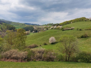 Spaziergang vor der Haustür.