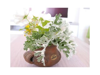 Appartamento per vacanze Vrbnik Caratteristiche 22