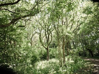Casa per le vacanze Den Oever Ambiente 47