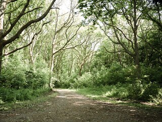 Casa per le vacanze Den Oever Ambiente 46