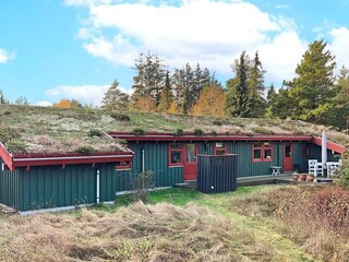 Ferienhaus Aalbæk Außenaufnahme 1