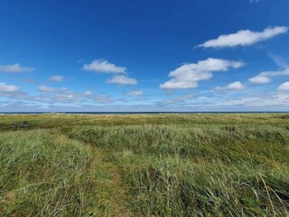 Vakantiehuis Aalbæk  16