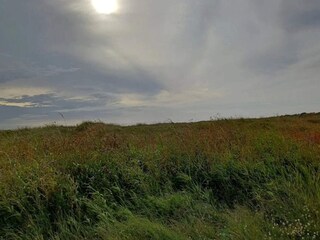 Casa de vacaciones Aalbæk  29