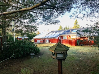 Ferienhaus Hals Außenaufnahme 3