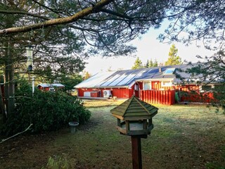 Ferienhaus Hals Außenaufnahme 4