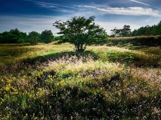 Vakantiehuis Hals  29