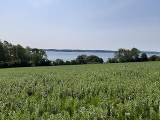 Casa per le vacanze Aabenraa  27