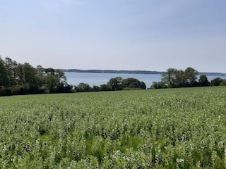 Casa per le vacanze Aabenraa  30