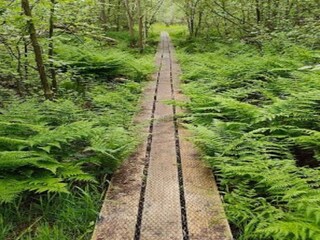 Appartement Hals Enregistrement extérieur 13