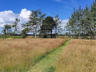 Apartment Hals Außenaufnahme 16