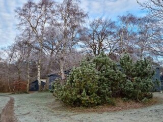 Apartment Hals Außenaufnahme 1