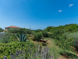 Villa Novigrad (Istrien) Grabación al aire libre 8