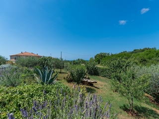 Villa Novigrad (Istrien) Enregistrement extérieur 4