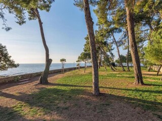 Villa Novigrad (Istrien) Entorno 27