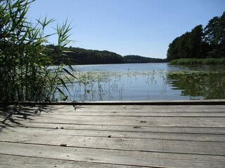 Parc de vacances Kołczewo Environnement 18