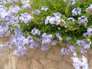 Appartamento Caleta de Vélez Registrazione all'aperto 7