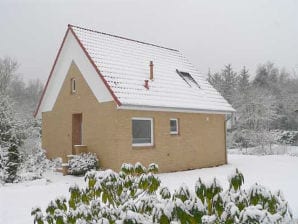 Ferienhaus mit Garten - Sahlenburg - image1