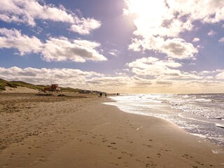 Maison de vacances Callantsoog Environnement 26