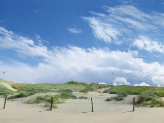 Appartamento per vacanze Callantsoog Ambiente 34