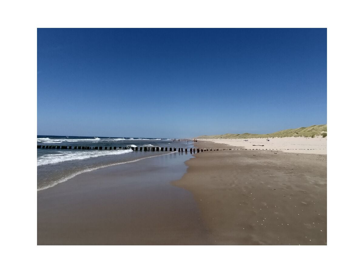 Nordsee in der Nähe