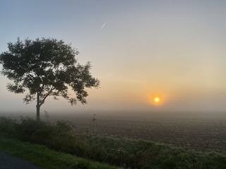 wunderschöne Sonnenaufgänge