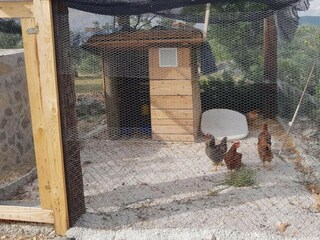 Villa Drage, Adria Grabación al aire libre 15