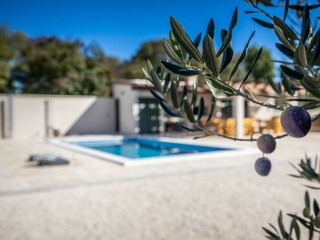 Villa Škabrnja Grabación al aire libre 14