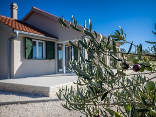 Villa Škabrnja Grabación al aire libre 15